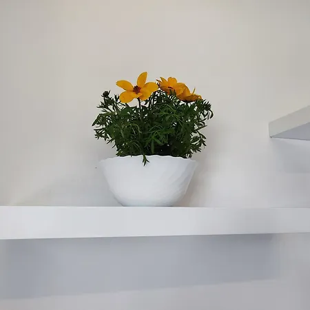 شقة Blaska بيوغْغاد نا موغو